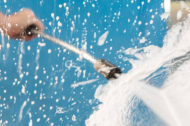 Best Animal Enclosure Cleaning  in West Park, NJ