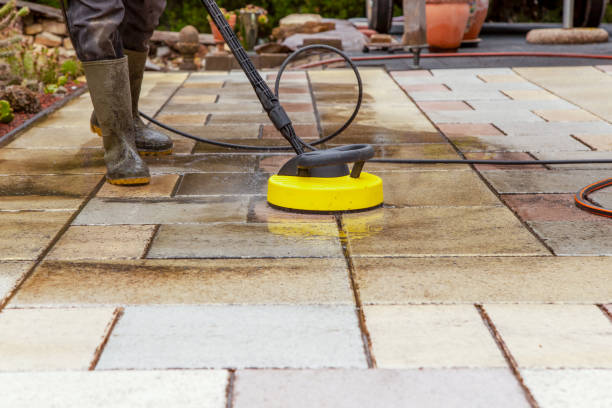 Best Animal Enclosure Cleaning  in West Park, NJ